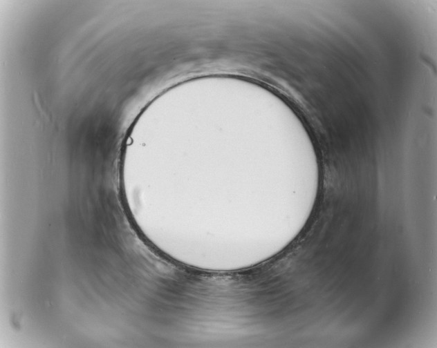 X0000102221512200808151652