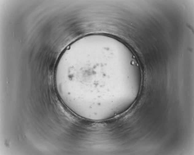 X0000102221513200808151652