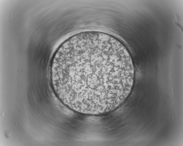 X0000102221514200808151652