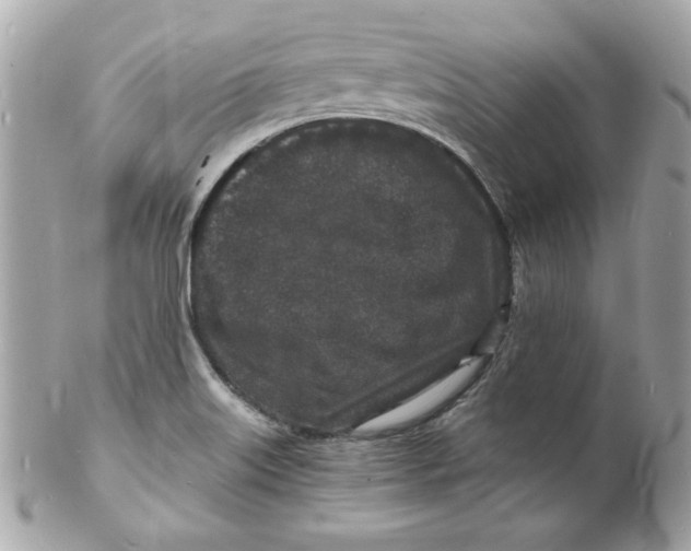 X0000102221515200808151652