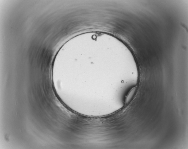 X0000102221516200808151652