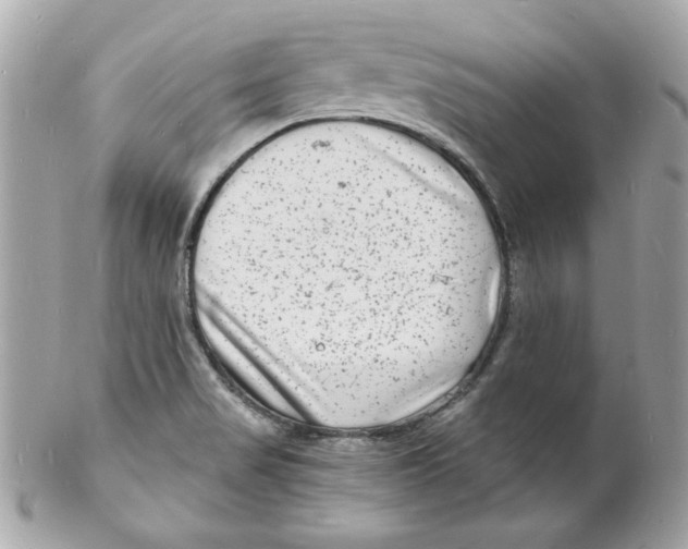 X0000102221517200808151652