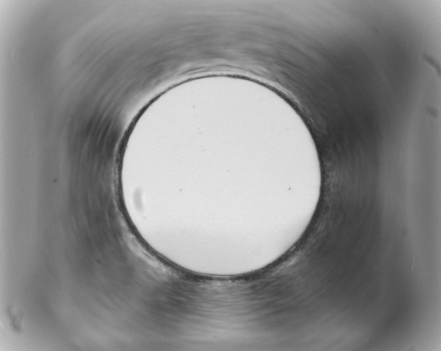 X0000102221518200808151652