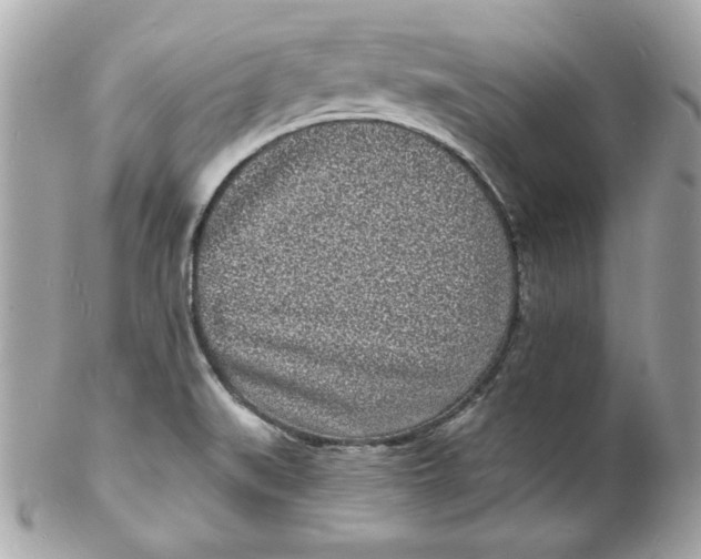 X0000102221519200808151652