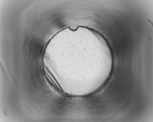 X0000102221521200808151652