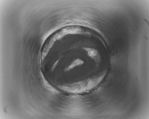 X0000102221522200808151653