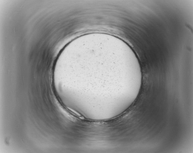 X0000102221523200808151653