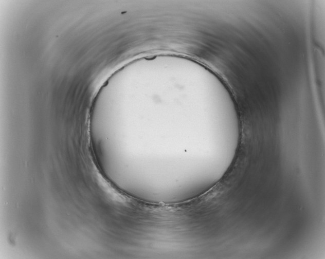 X0000102221524200808151653