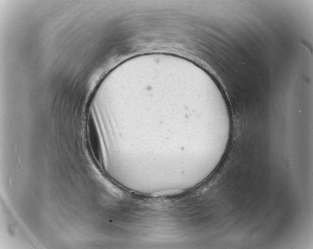 X0000102221525200808151653