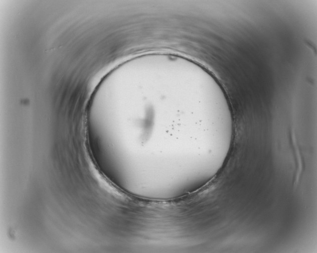 X0000102221526200808151653