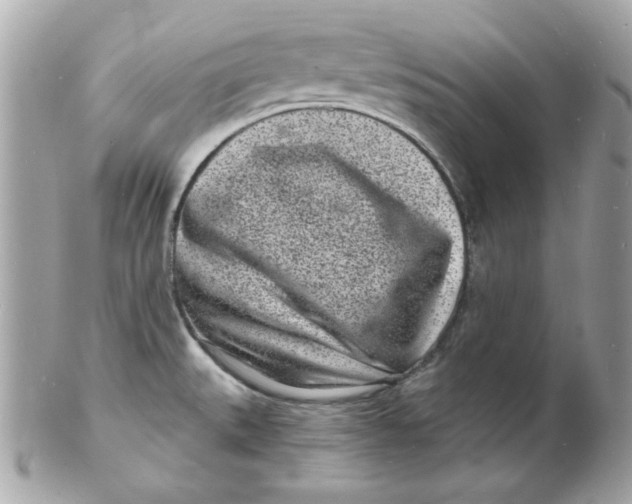 X0000102221527200808151653