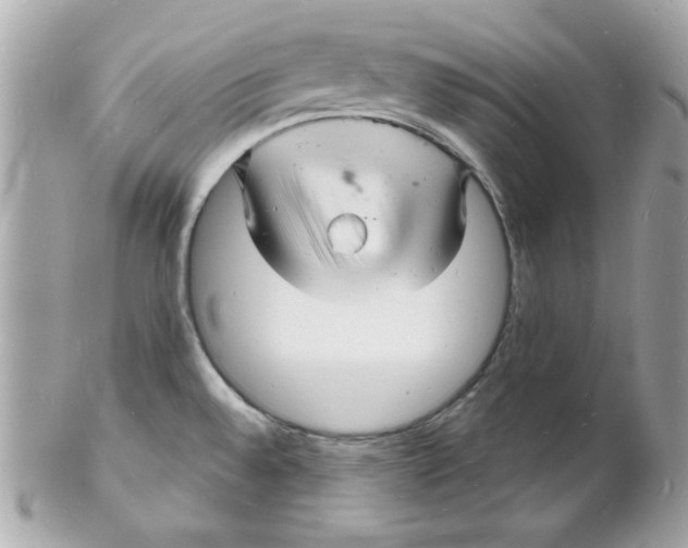 X0000102221528200808151653