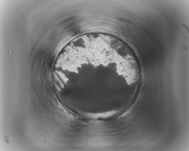 X0000102221529200808151653