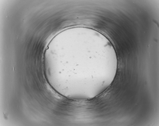 X0000102221532200808151653