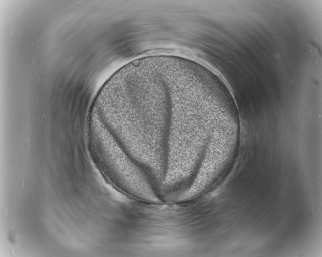 X0000102221533200808151653