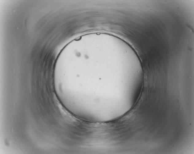 X0000102221534200808151653