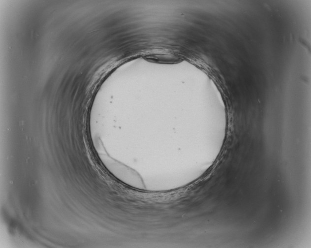 X0000102220001200808221256