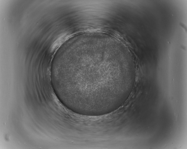 X0000102220002200808221256