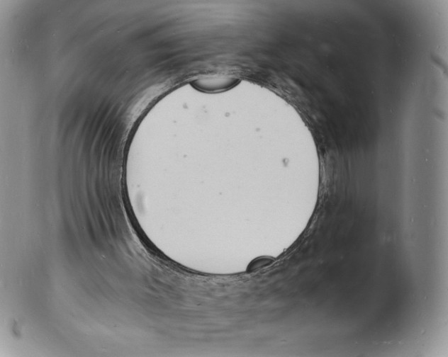 X0000102220003200808221256