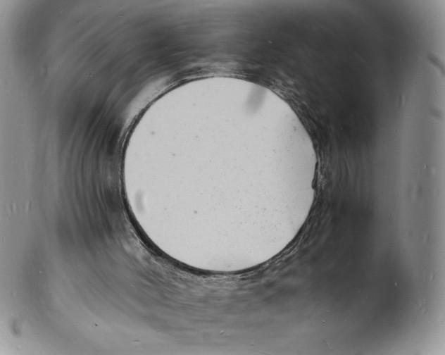 X0000102220004200808221256