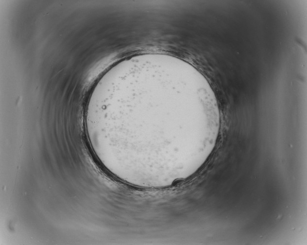 X0000102220005200808221256