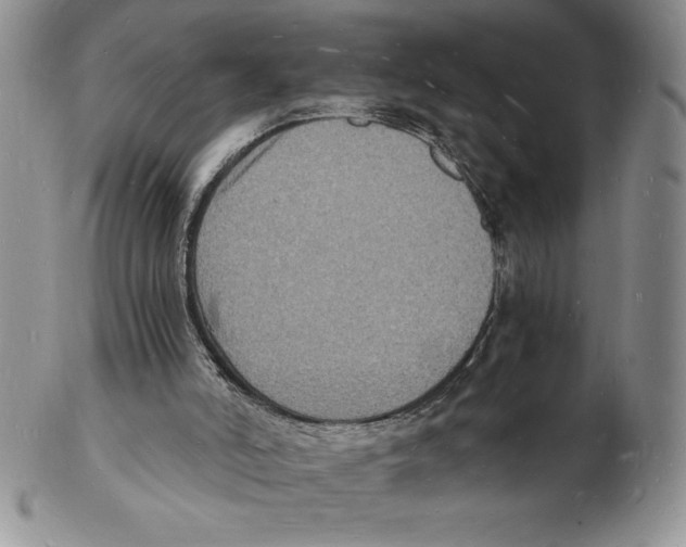 X0000102220006200808221256