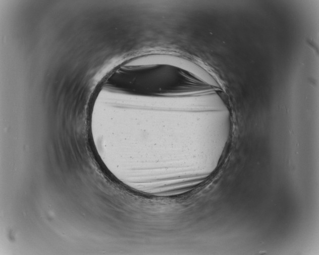 X0000102220008200808221256