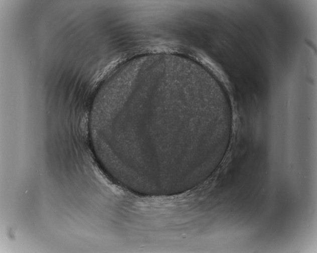 X0000102220009200808221256