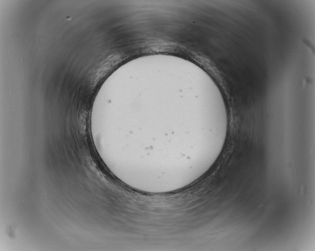 X0000102220010200808221256