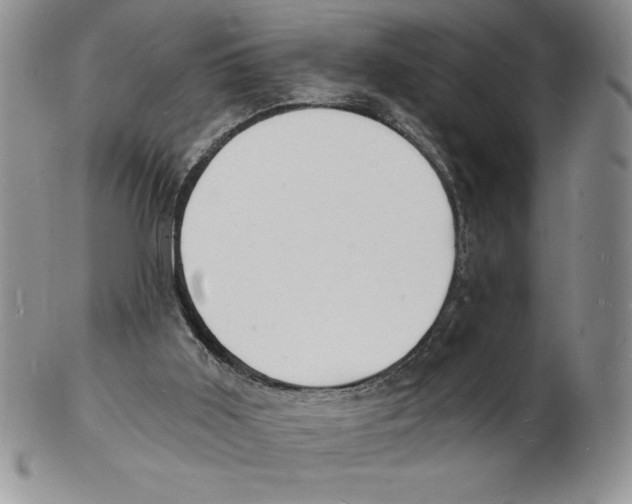 X0000102220011200808221256