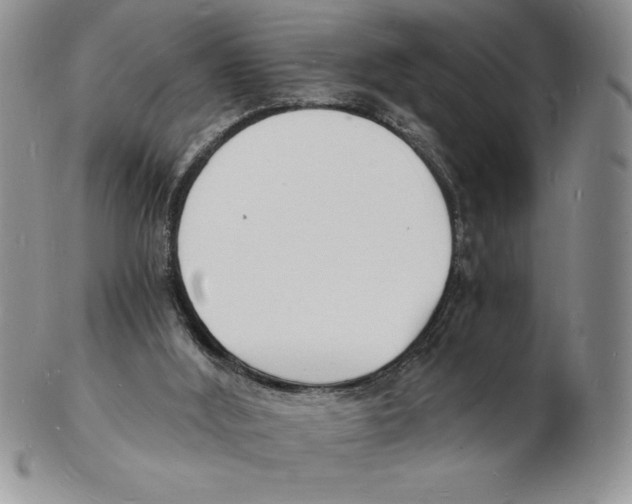 X0000102220012200808221256