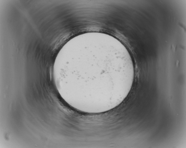 X0000102220013200808221256