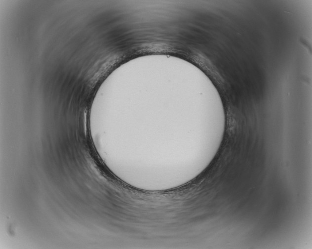 X0000102220014200808221256