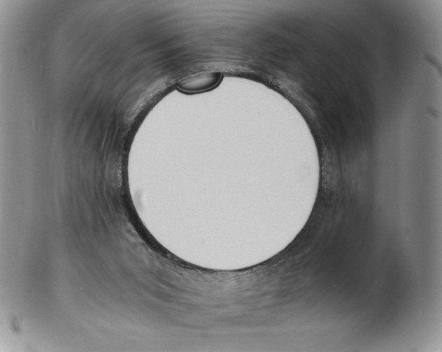 X0000102220015200808221256