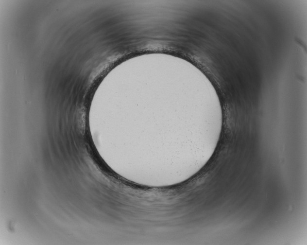 X0000102220016200808221256