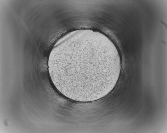 X0000102220017200808221256