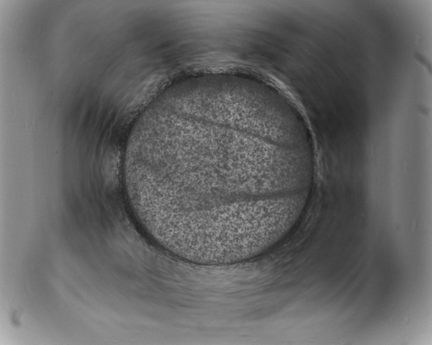 X0000102220018200808221256