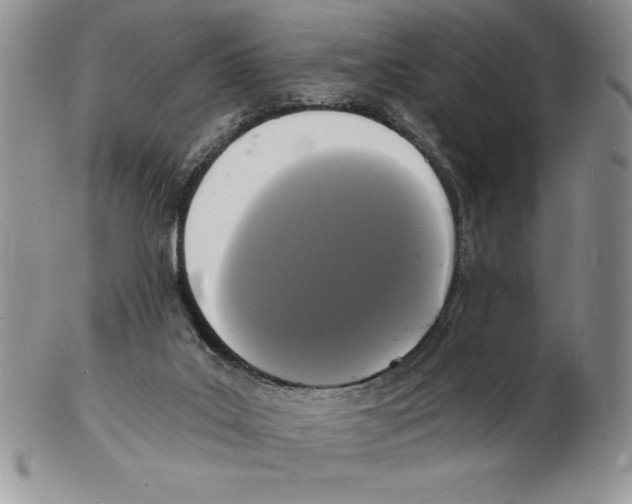 X0000102220019200808221256