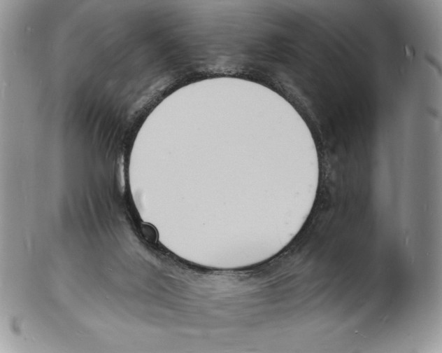 X0000102220020200808221256