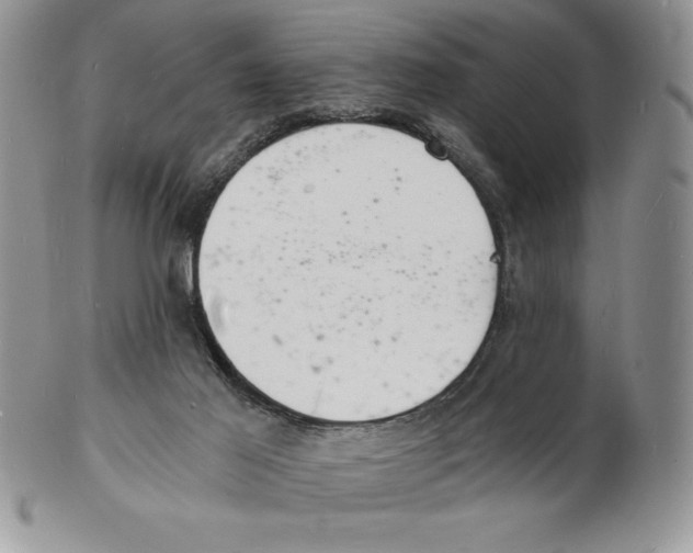 X0000102220021200808221256