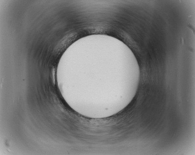 X0000102220022200808221256