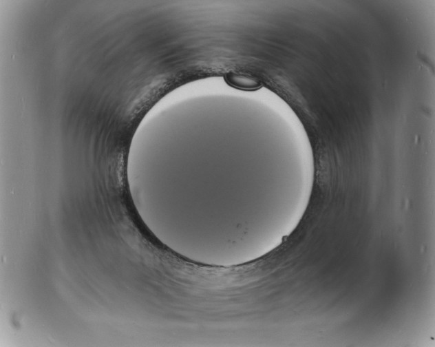 X0000102220023200808221256