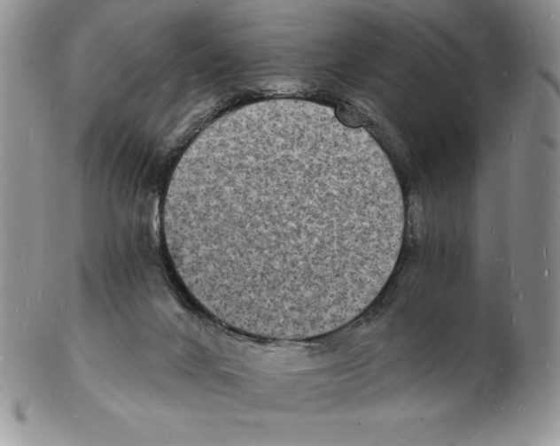 X0000102220024200808221256