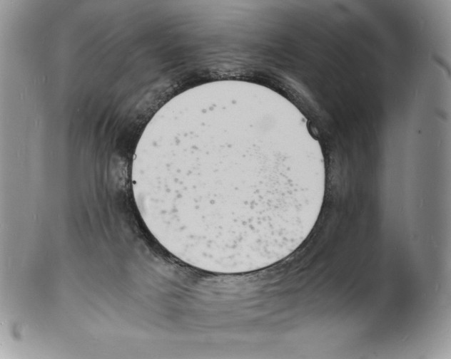 X0000102220025200808221256