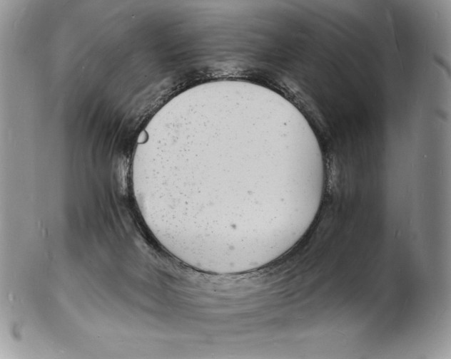 X0000102220026200808221256