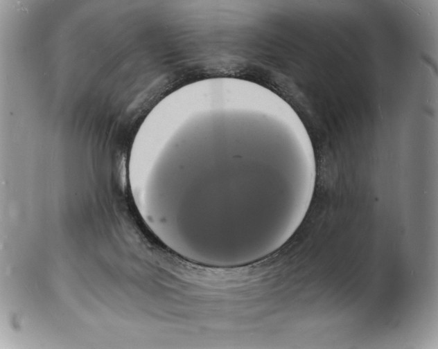 X0000102220027200808221256