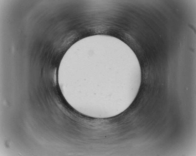 X0000102220028200808221256