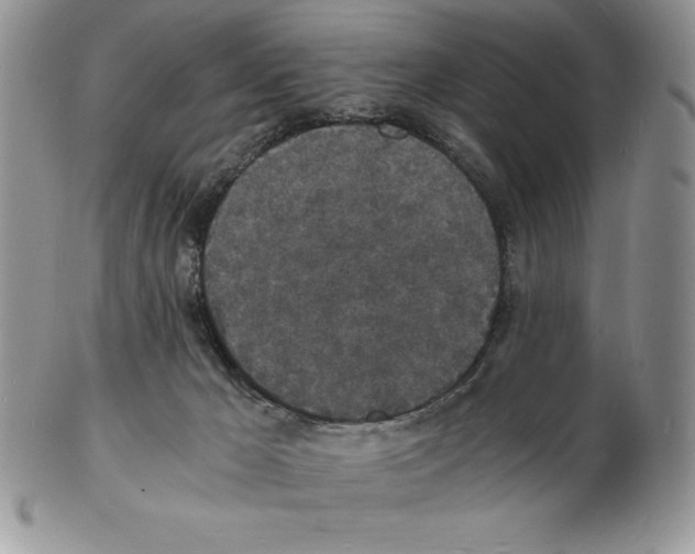 X0000102220029200808221255