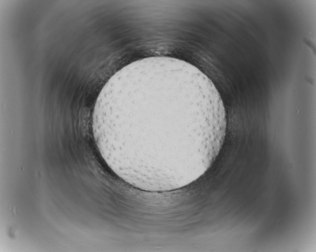 X0000102220030200808221255