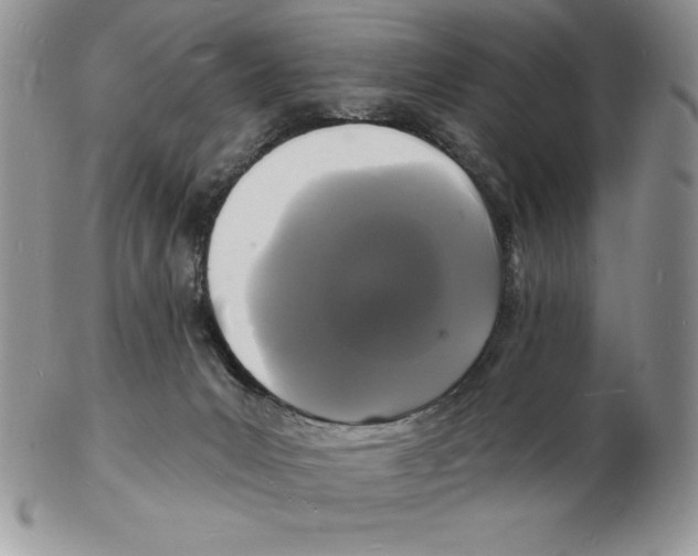 X0000102220031200808221255